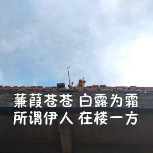 兽兽门翟凌原版在线观看免费
